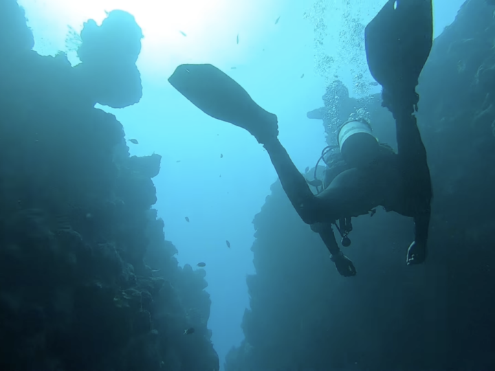 2026: The Year I Come Back To The Surface