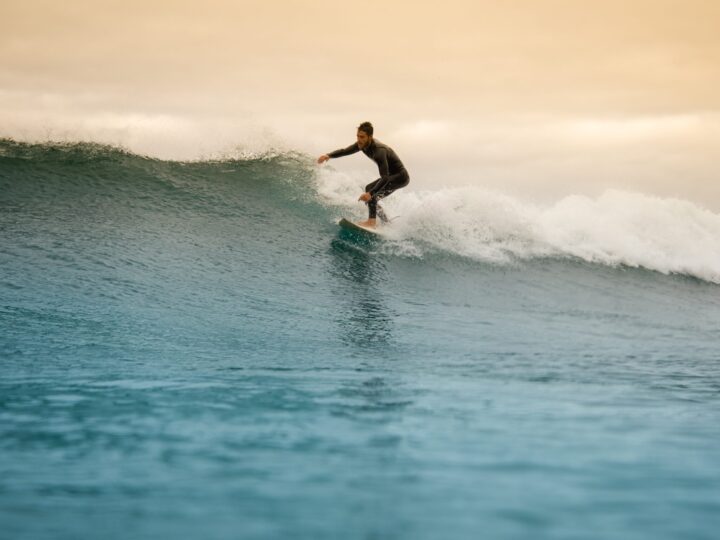 Riding the Freelance Wave: Learning to Accept the Highs and Lows